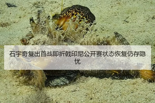 shi-yu-qi-fu-chu-shou-zhan-ji-zhe-ji-yin-ni-gong-kai-sai-zhuang-tai-hui-fu-reng-cun-yin-you-2-867.jpg