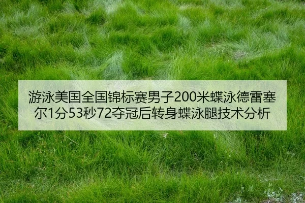 you-yong-mei-guo-quan-guo-jin-biao-sai-nan-zi-mi-die-yong-de-lei-sai-er-fen-miao-duo-guan-hou-zhuan-shen-die-yong-tui-2-957.jpg