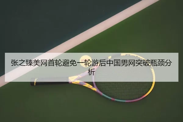 zhang-zhi-zhen-mei-wang-shou-lun-bi-mian-yi-lun-you-hou-zhong-guo-nan-wang-tu-po-ping-jing-fen-xi-3-838.jpg